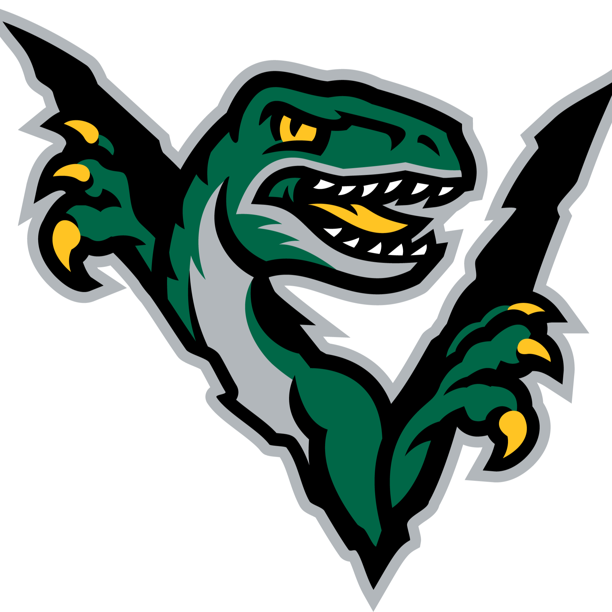 v raptor logo