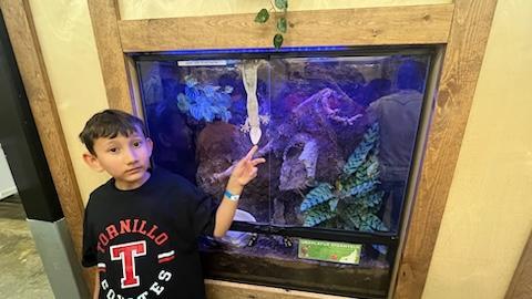 A young boy in a black t-shirt stands next to a brightly lit aquarium, pointing at a white object inside, surrounded by colorful aquatic plants and decorations.