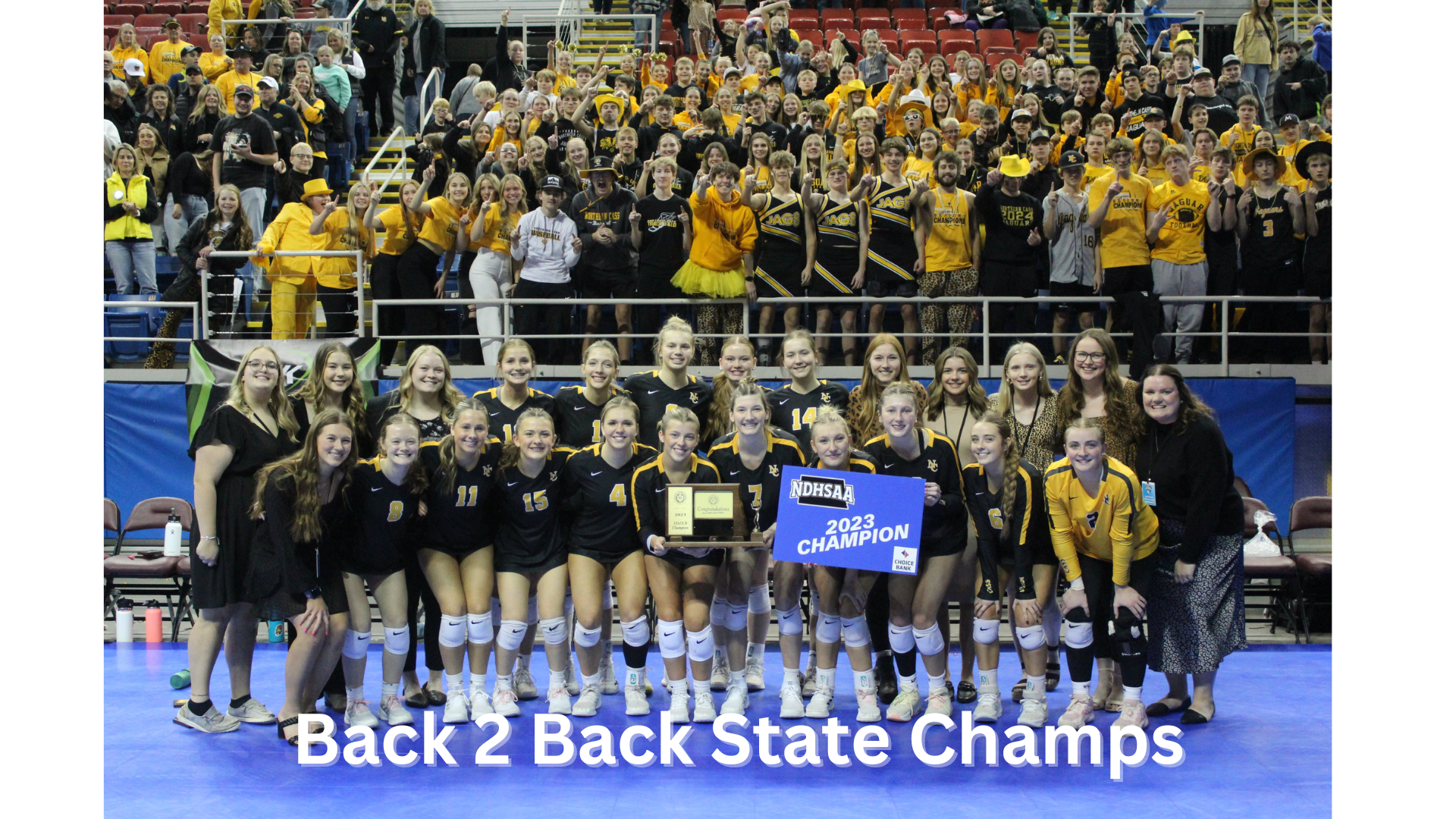 Volleyball State Champions