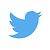 Twitter logo featuring a blue bird, symbolizing the social media platform's identity and communication focus.