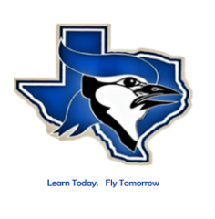 Learn Today, Fly Tomorrow