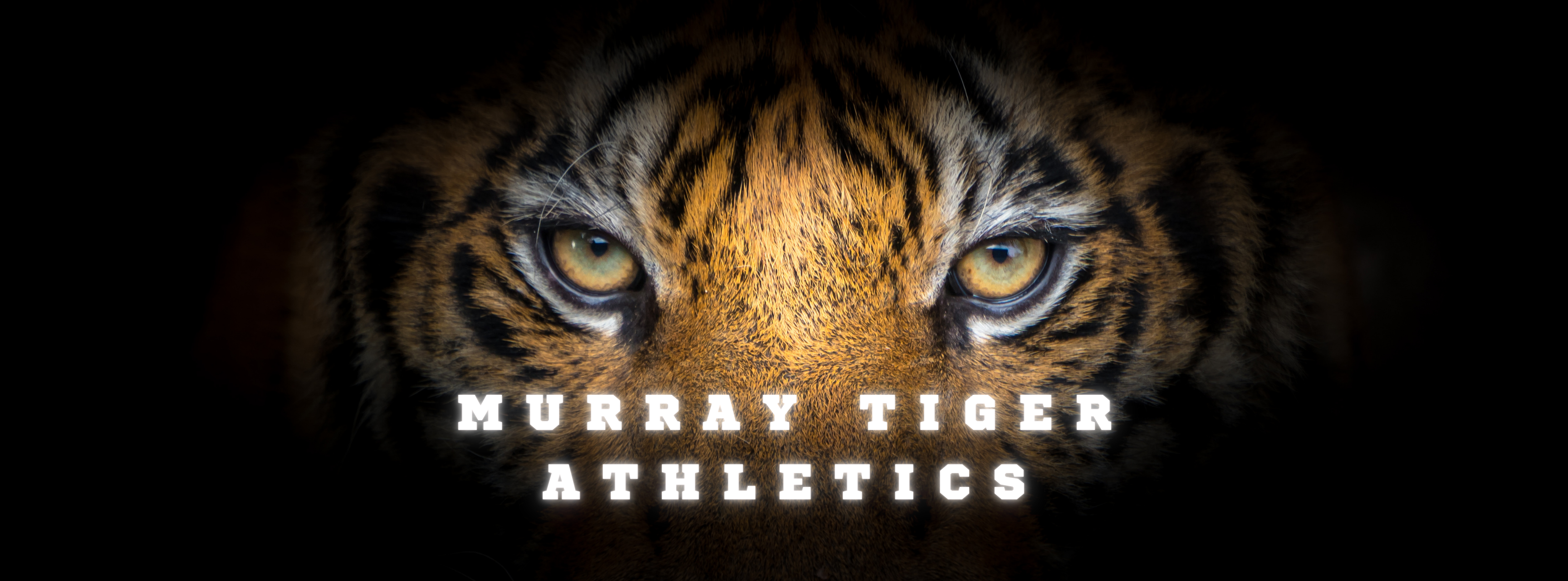 Tiger Athletics Pic