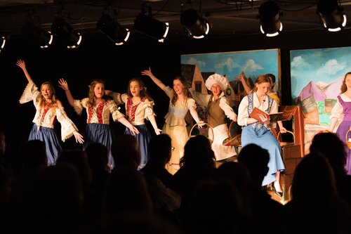 Fine arts - theater