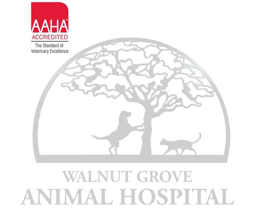 A logo featuring a tree with a dog and a cat, accompanied by the text 'WALNUT GROVE ANIMAL HOSPITAL' and an accreditation badge that reads 'AAHA ACCREDITED - The Standard of Veterinary Excellence.'