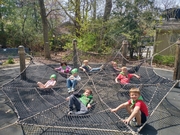 Children joyfully playing on a large net structure in a vibrant playground, surrounded by trees and colorful equipment.