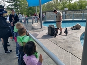 A group of children observing a penguin in its enclosure at the zoo, displaying curiosity and excitement.