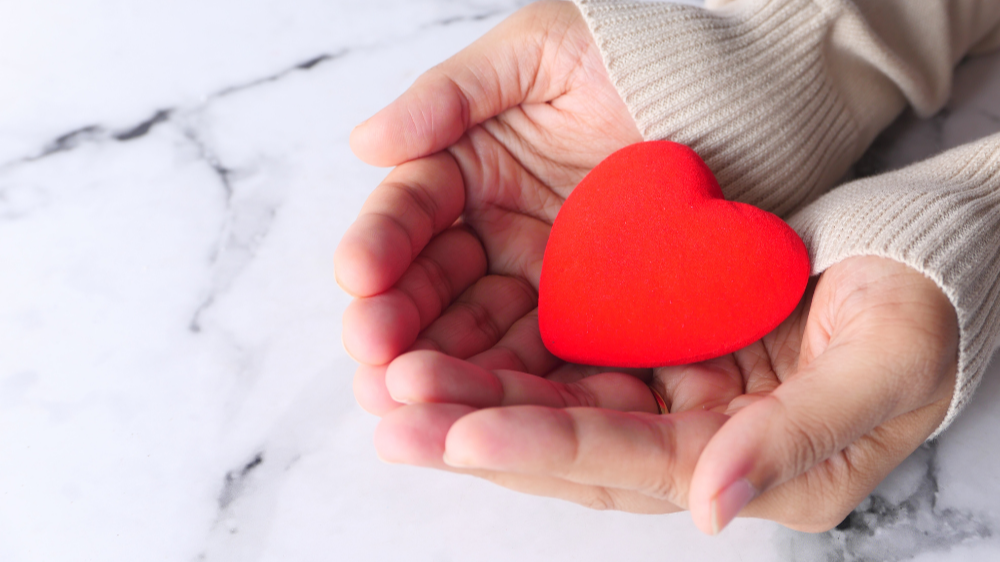 hands holding a heart