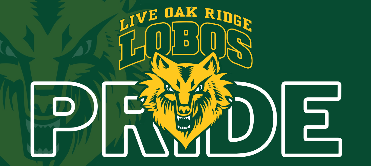 LORMS Logo