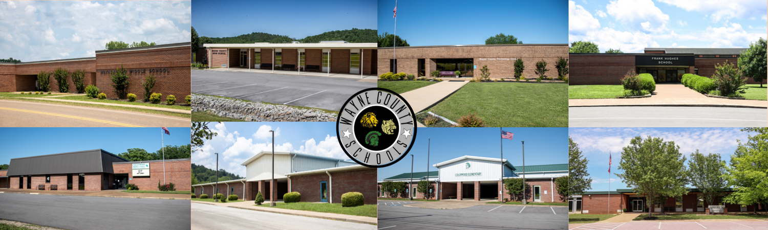 School Collage