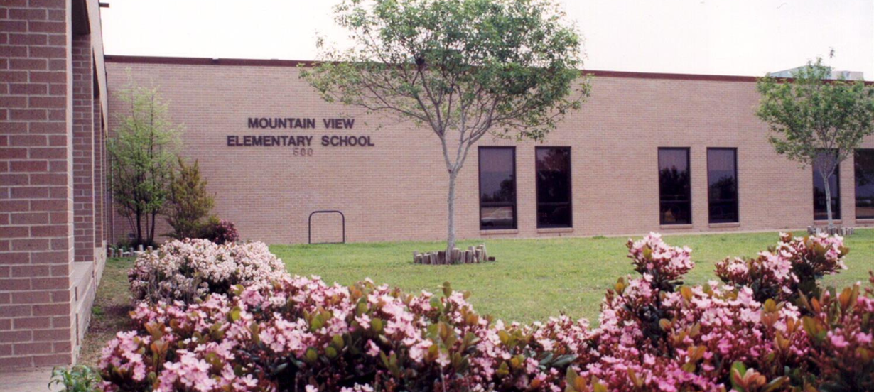 mt view