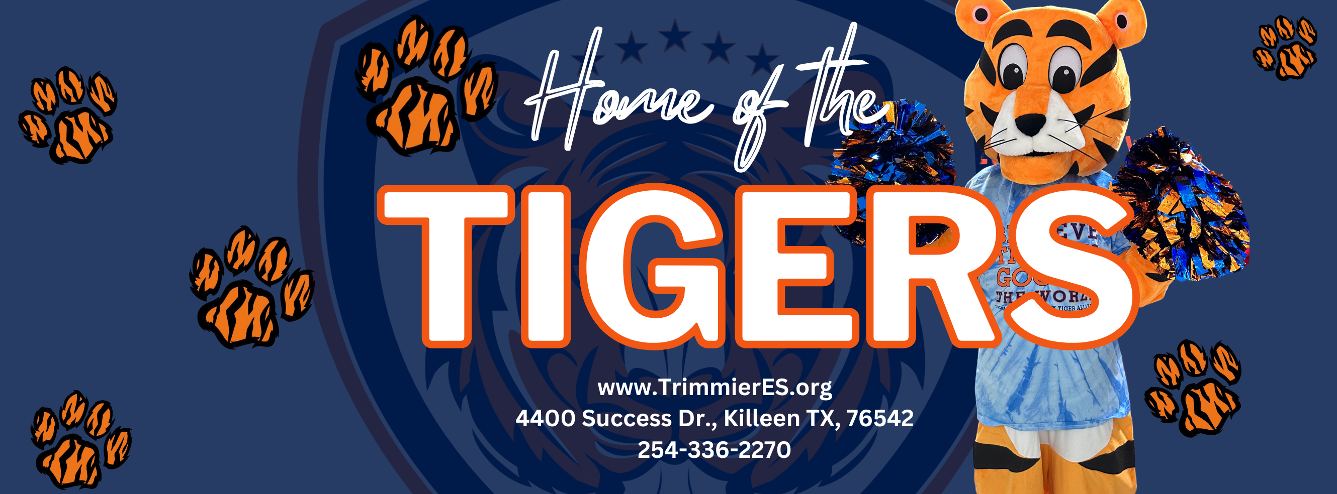 Tiger mascot and school info