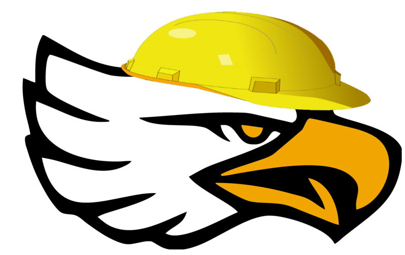 Eagle with a helmet.