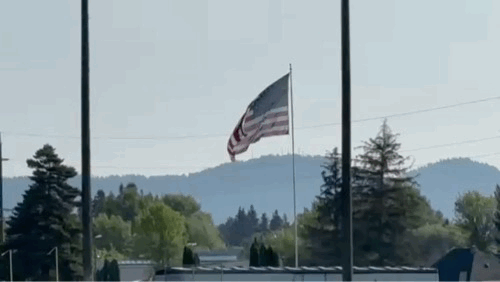 Bear Field Flag Waving