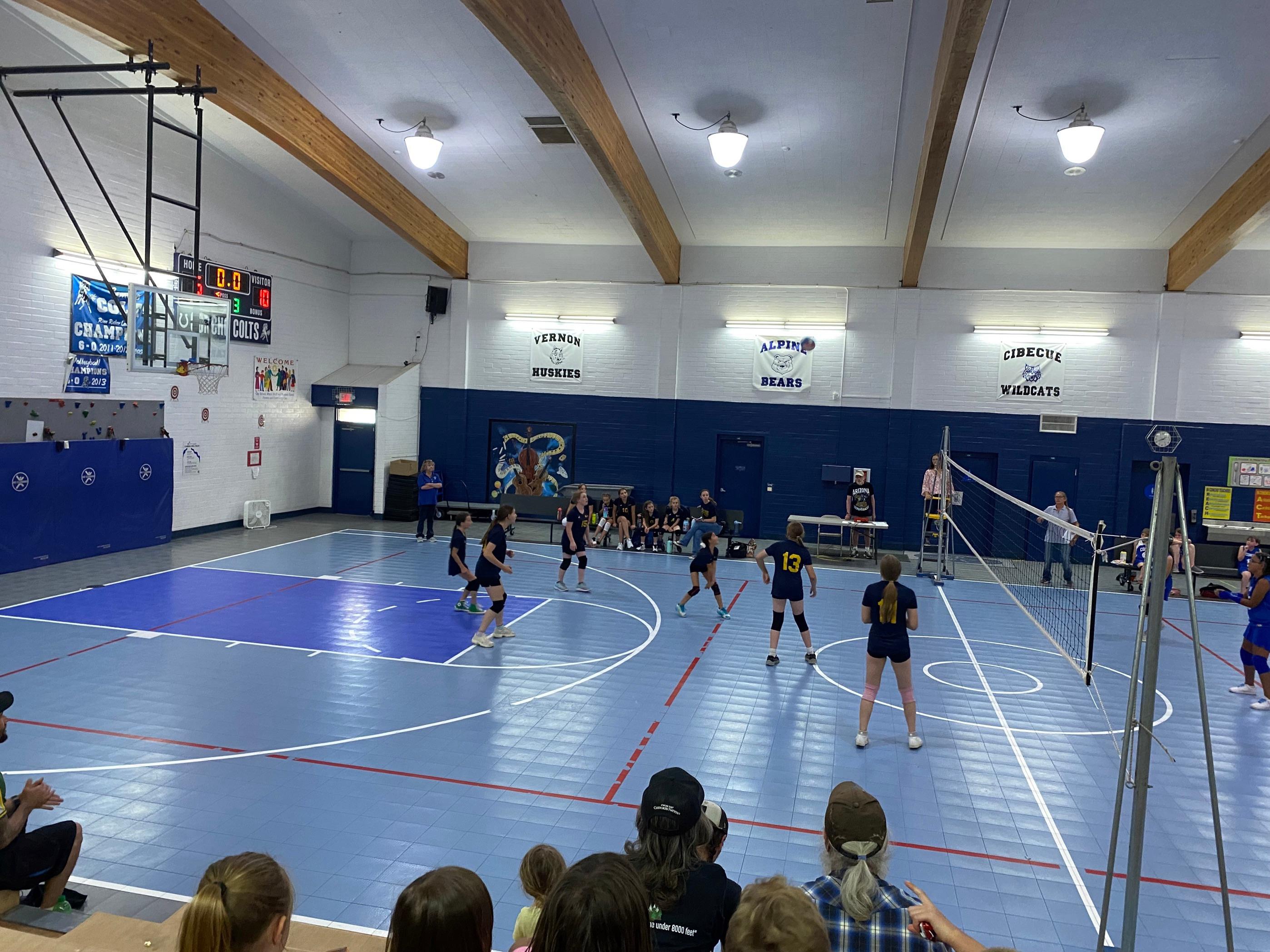 Volleyball 4