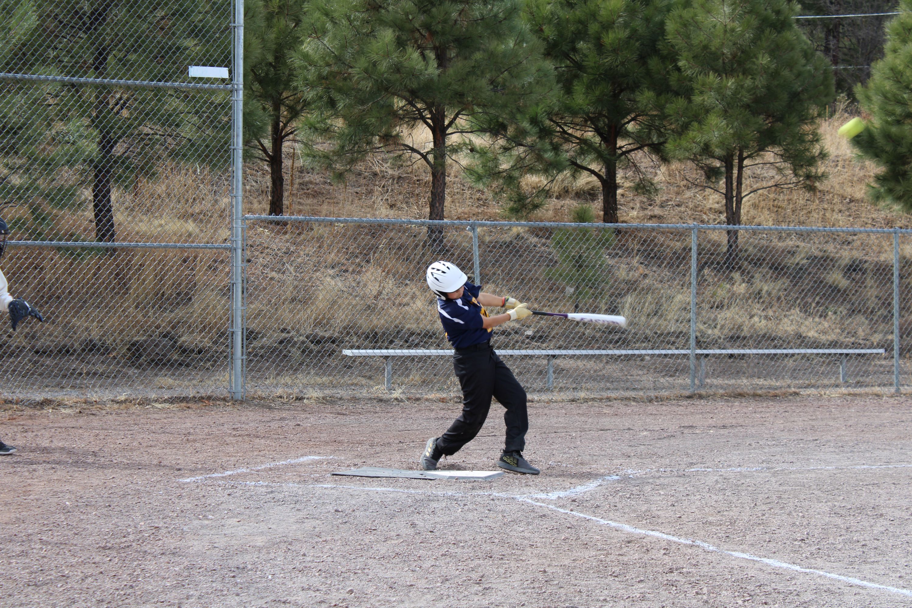 Softball 1