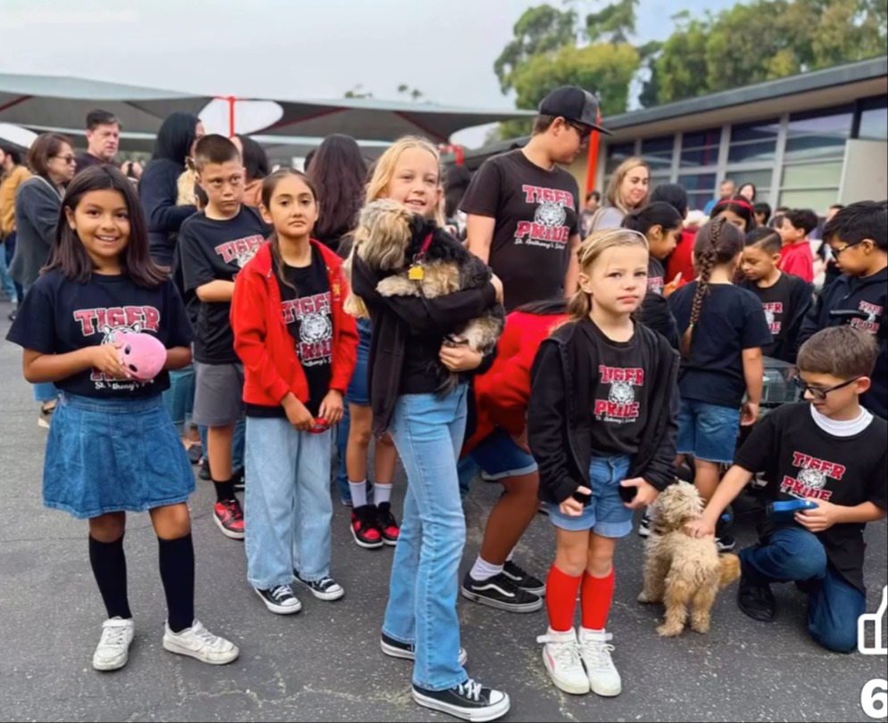 Four students stand in front of a wooden altar with a crucifix, dressed in school uniforms, with their hands clasped in prayer.