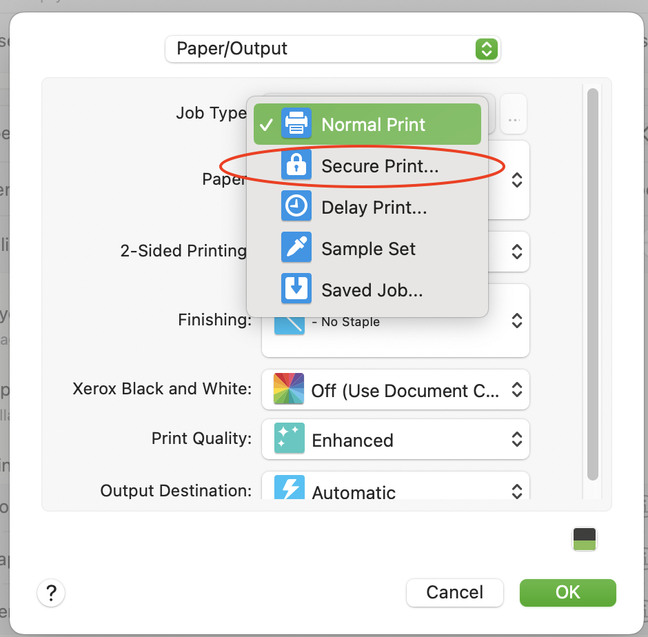 The option to Secure Print