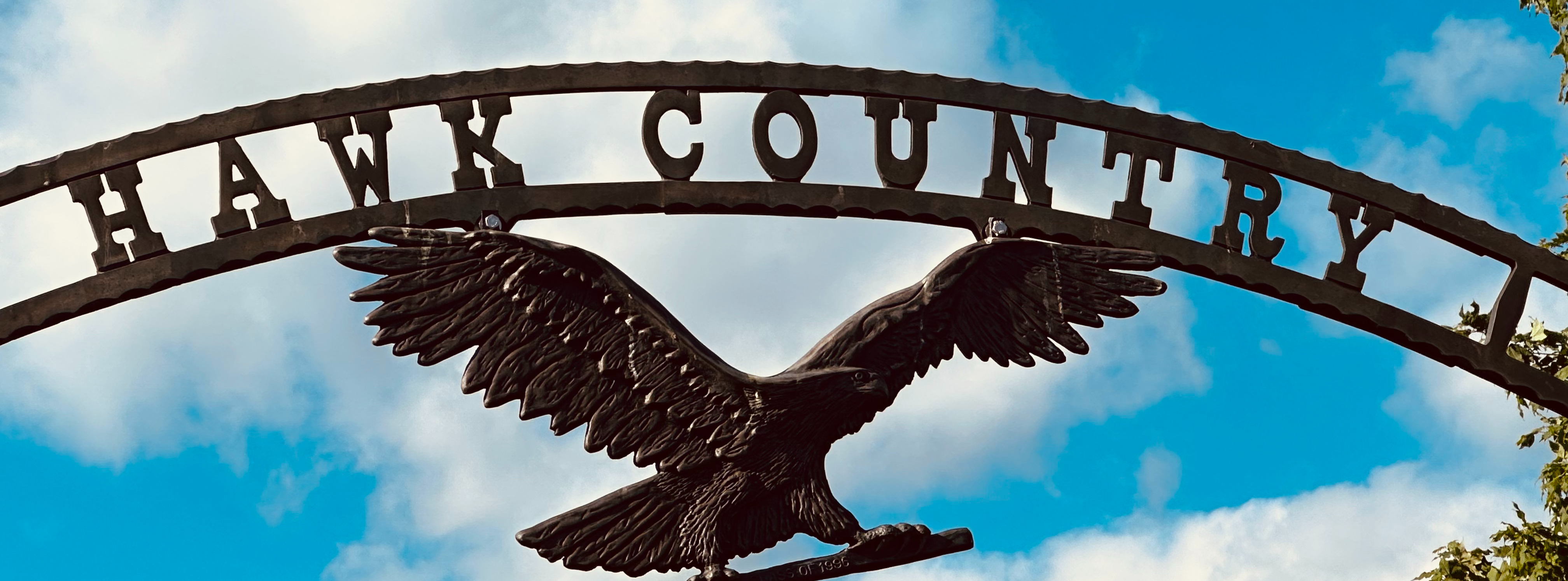 Hawk Country Sign with Hawk