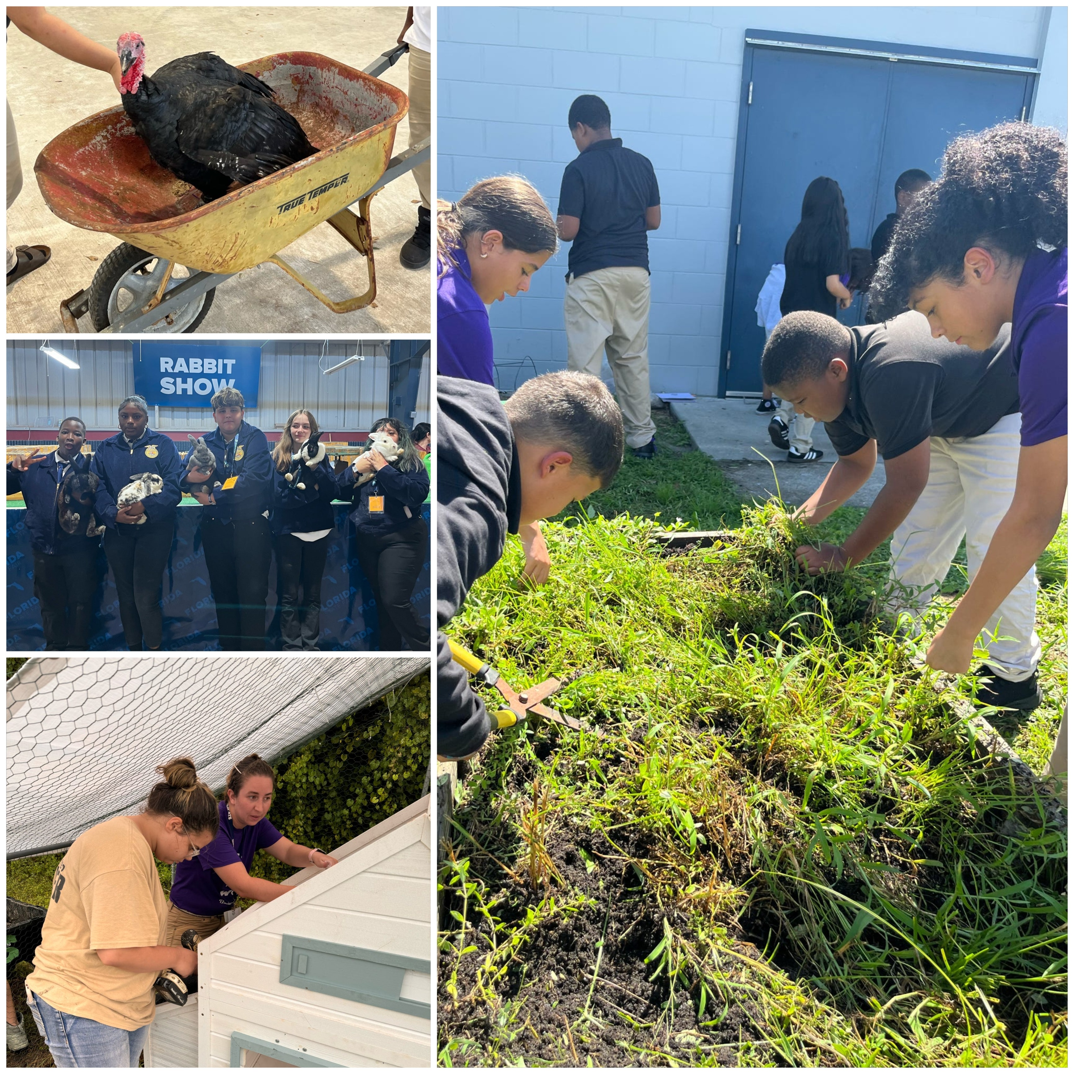 Students doing agricultural work