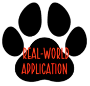 Real-World Application