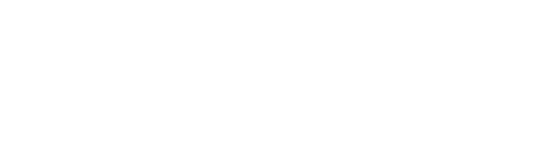digital accessibility