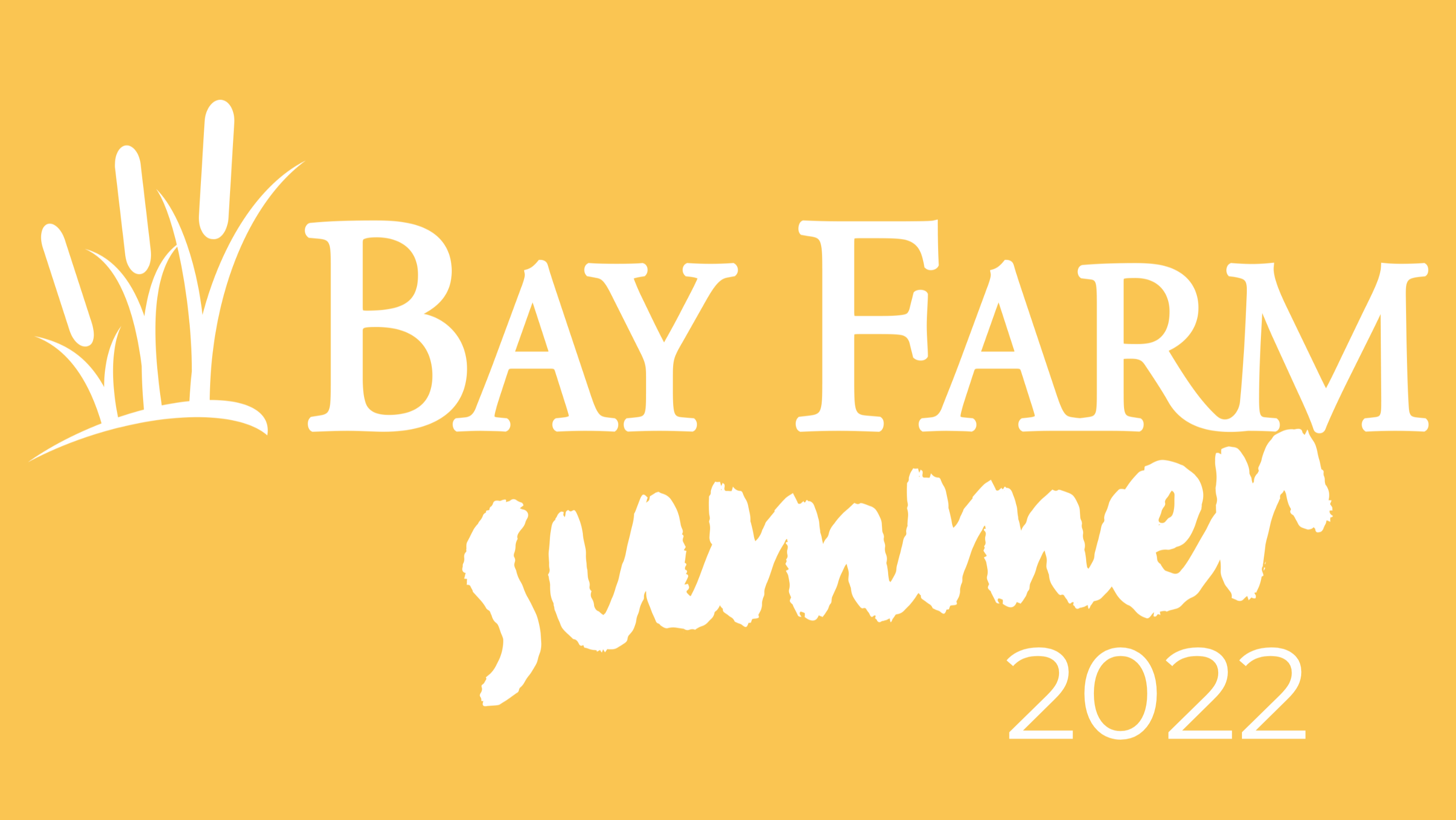 bay farm summer program