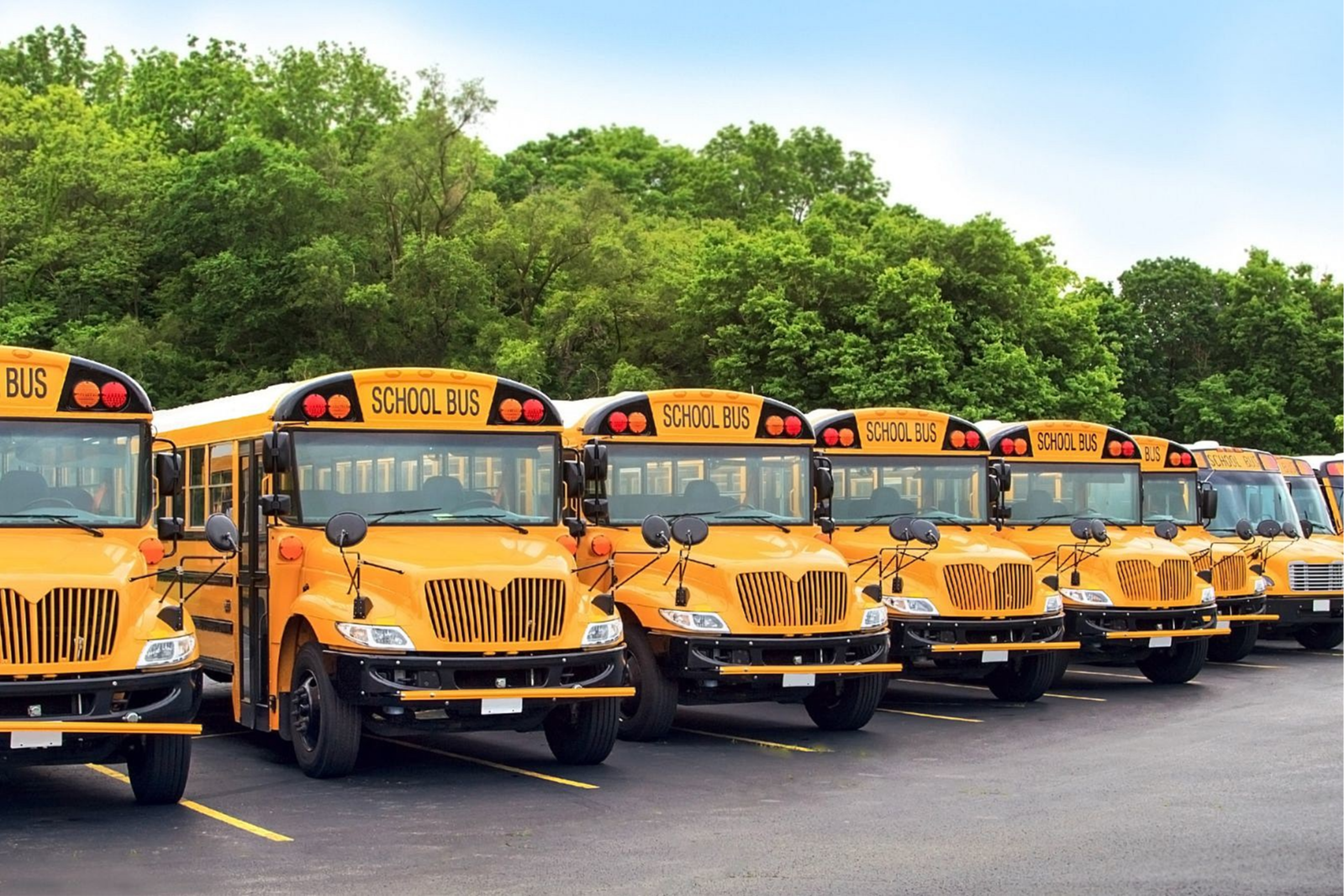 school buses