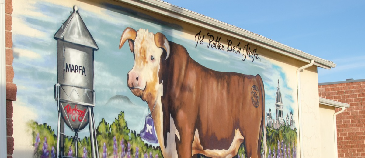 Wall painting of Marfa shorthorn bovine 