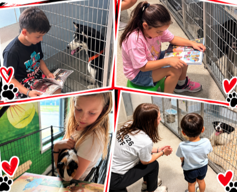 Gorrie Gives Back - Humane Society 