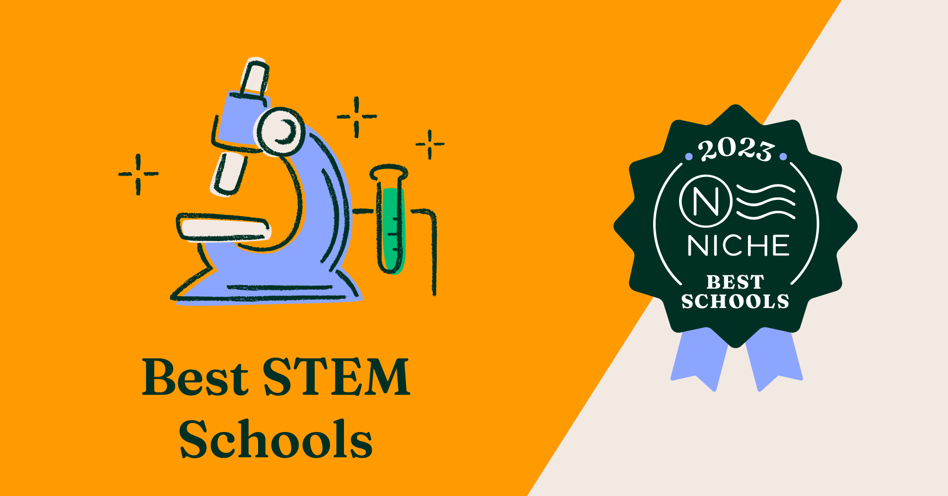 Niche.com Best STEM School