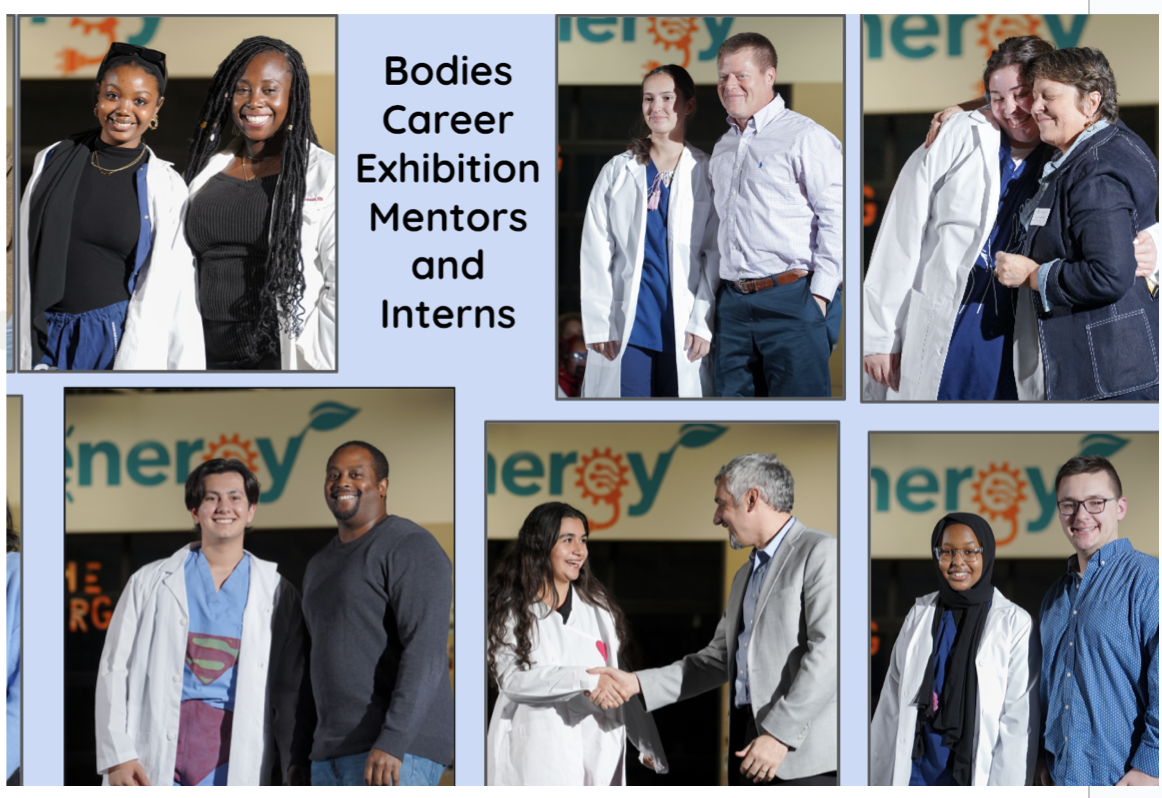 Bodies Internship Mentors