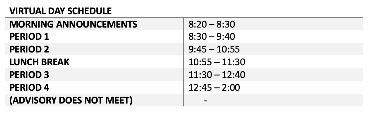 VIRTUAL DAY SCHEDULE