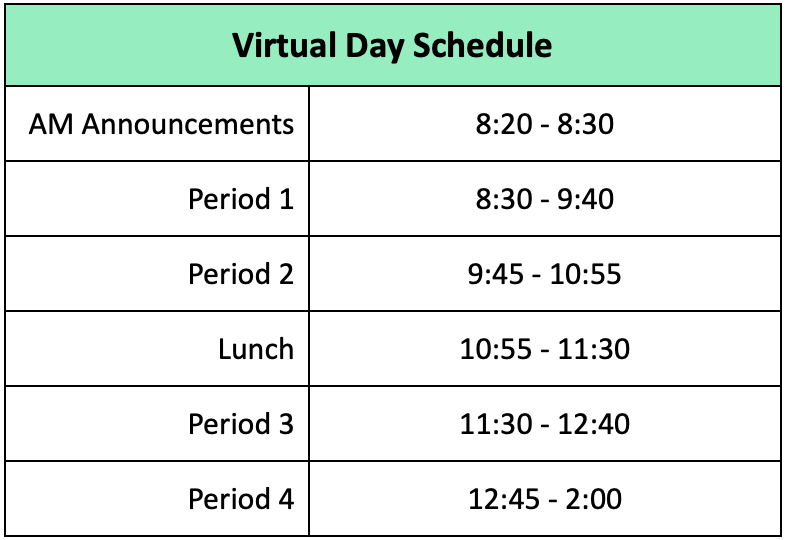 VIRTUAL DAY SCHEDULE