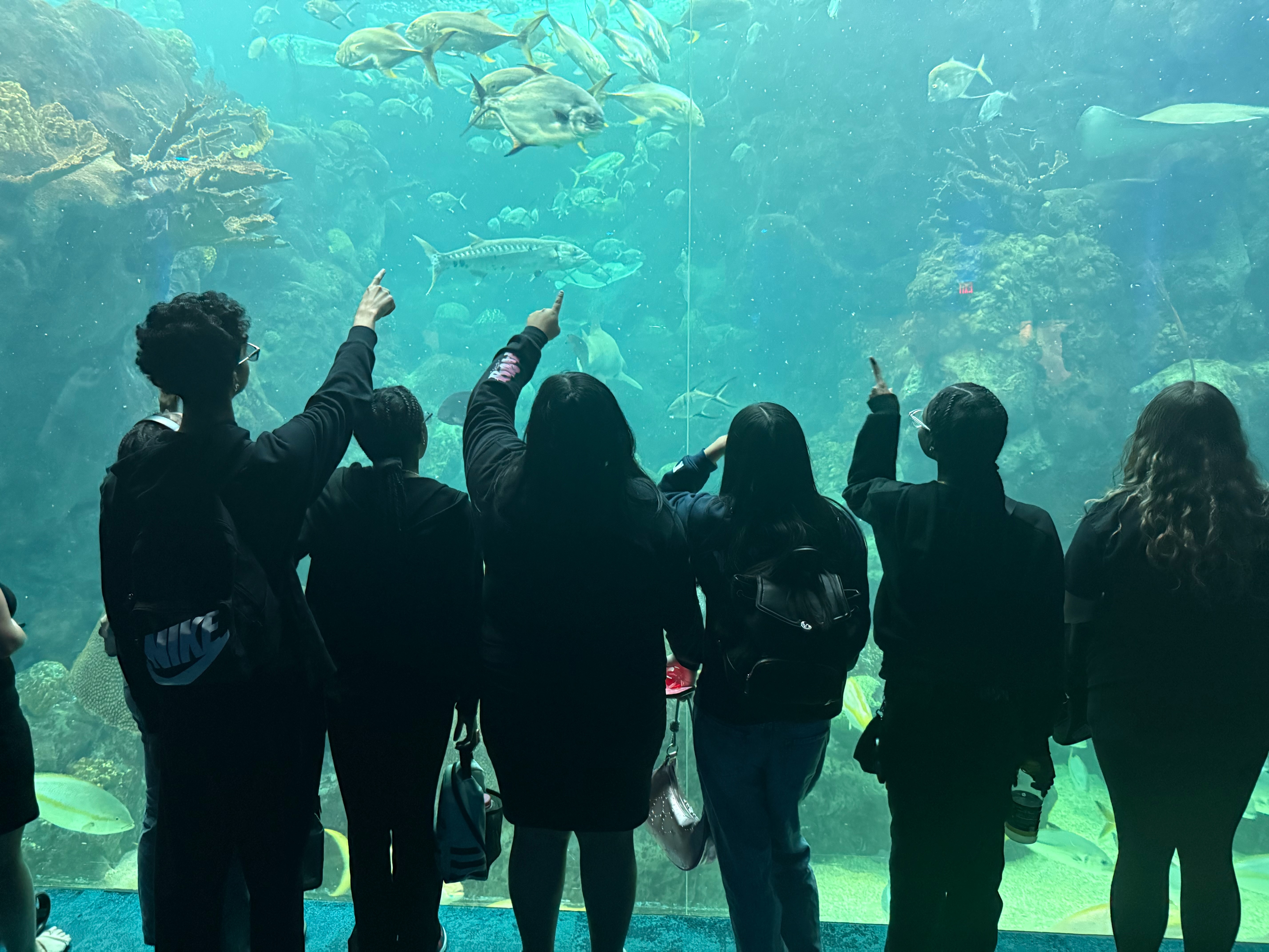 Field Trip