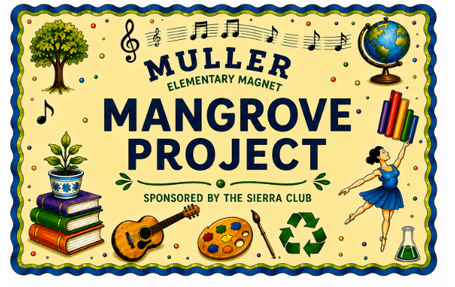 Mangrove Project