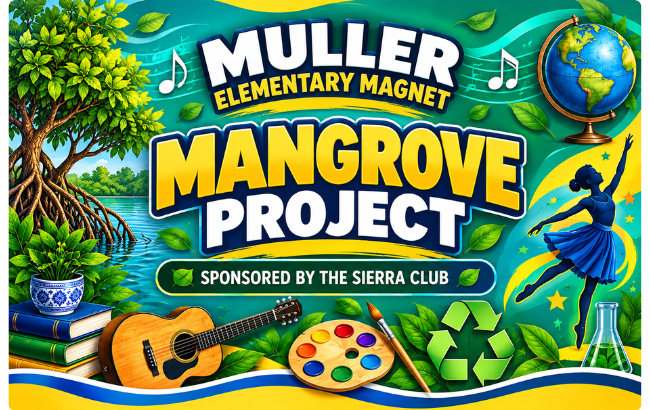 Mangrove Project