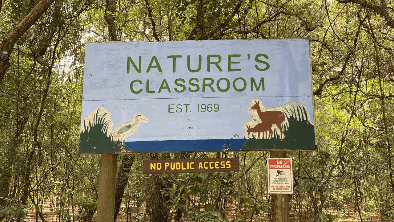Nature's Classroom