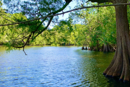 Extensive Natural Setting