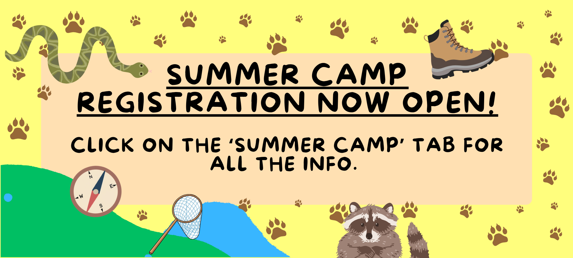 Summer Camp