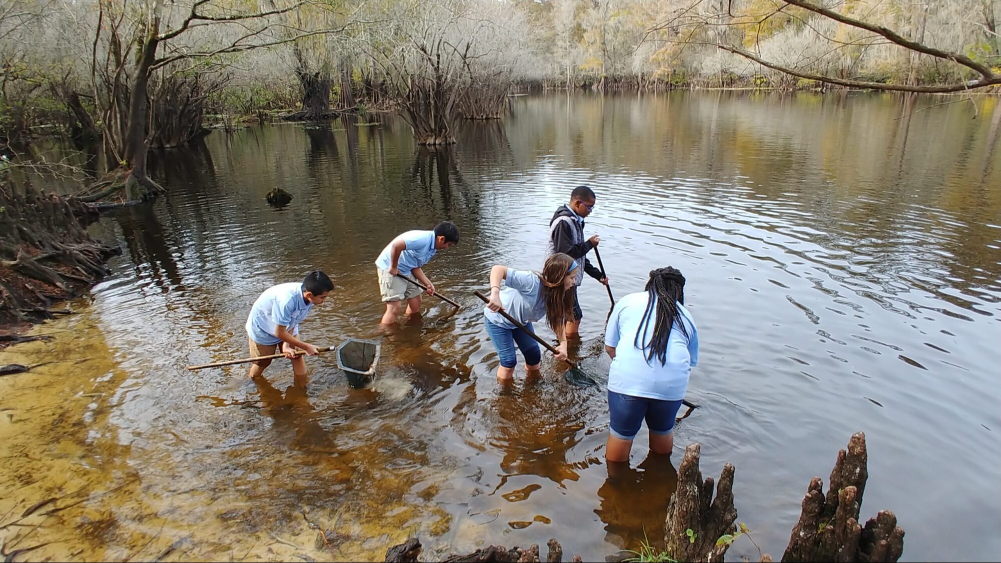 Shoreline Sampling