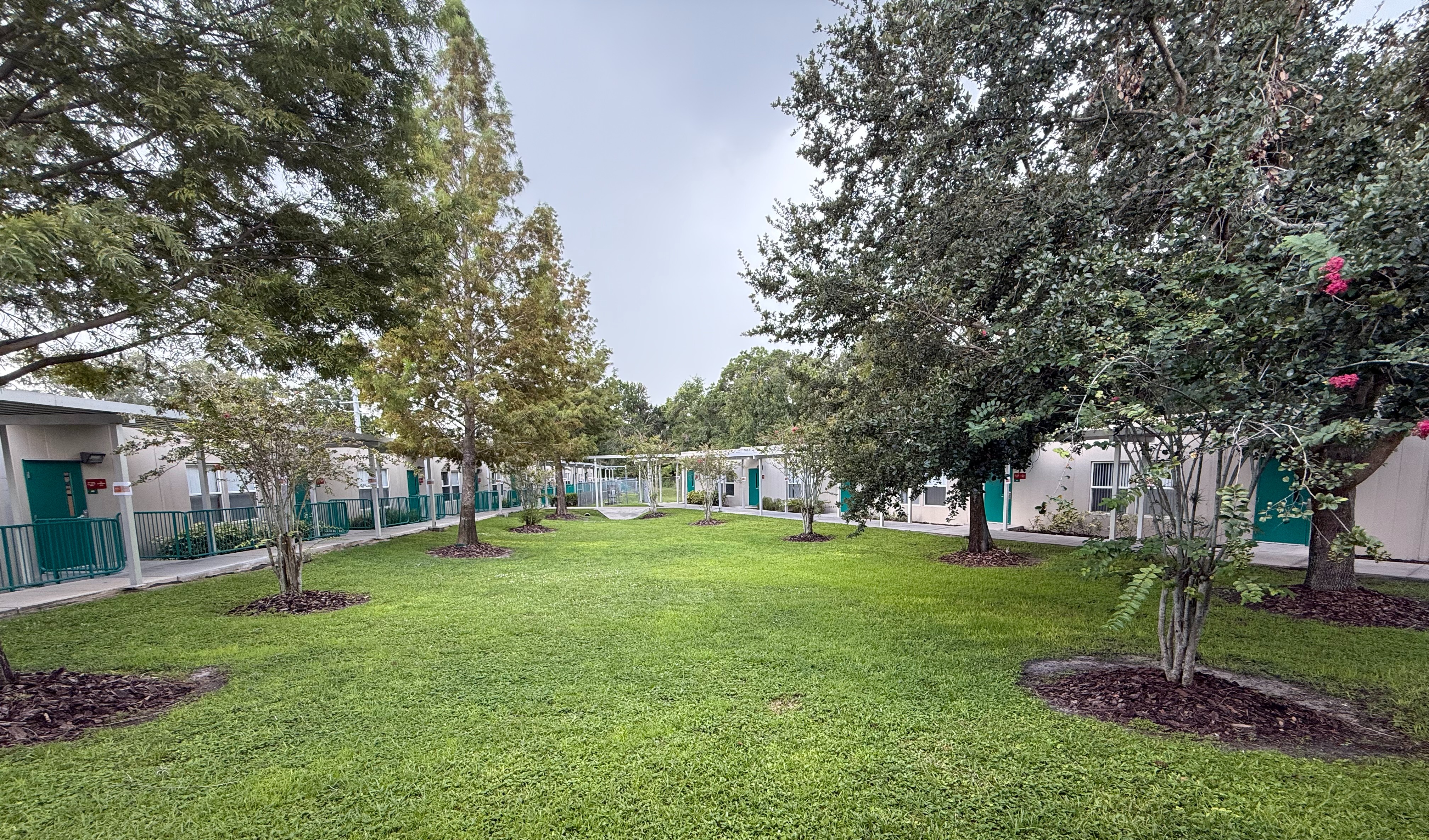 Welcome to North Tampa Success Center!