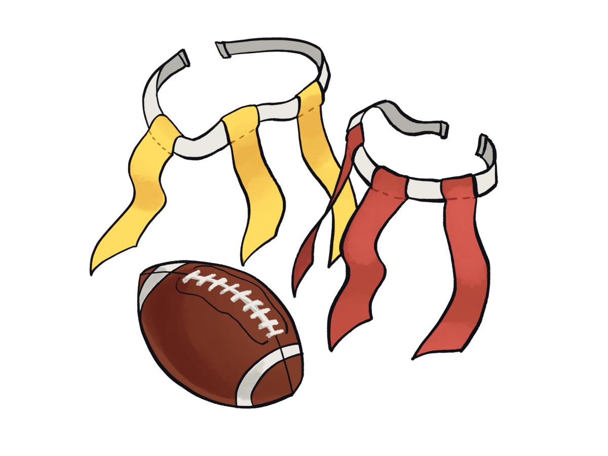 Tiger Flag Football Graphic