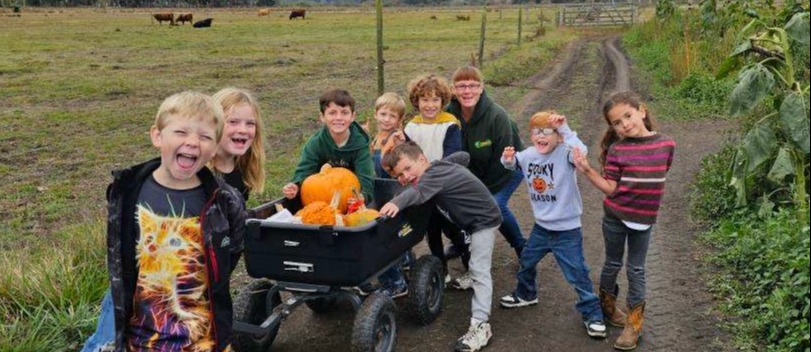 pumpkin patch