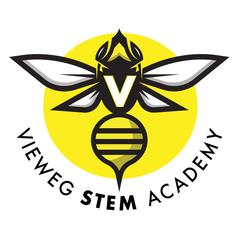 Vieweg STEM Academy  Logo