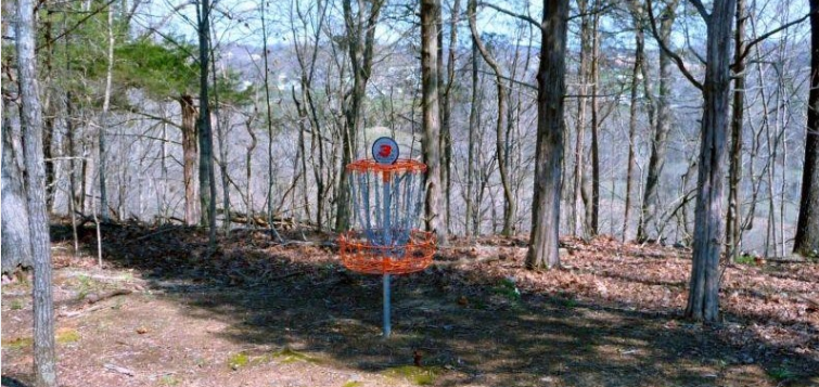 Disc golf basket in a wooded area with bare trees, sun dappled ground, and distant hills visible."