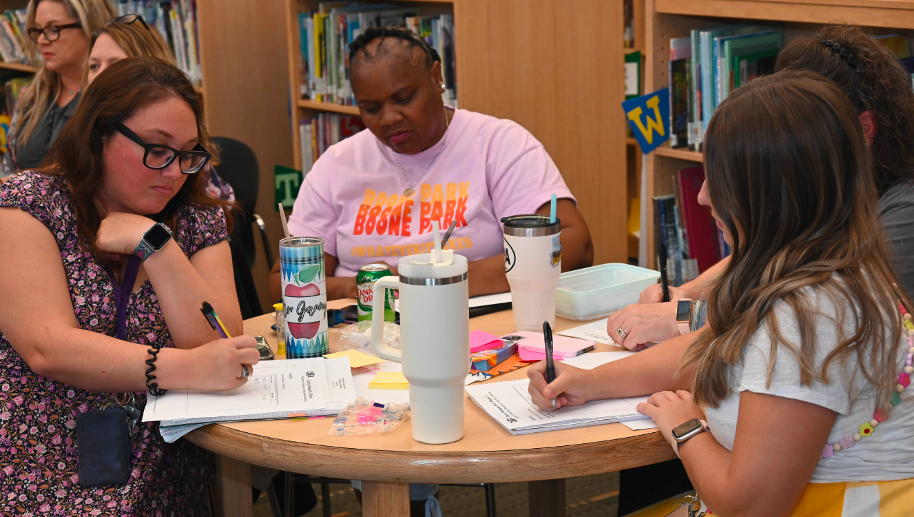 professional development: staff learning