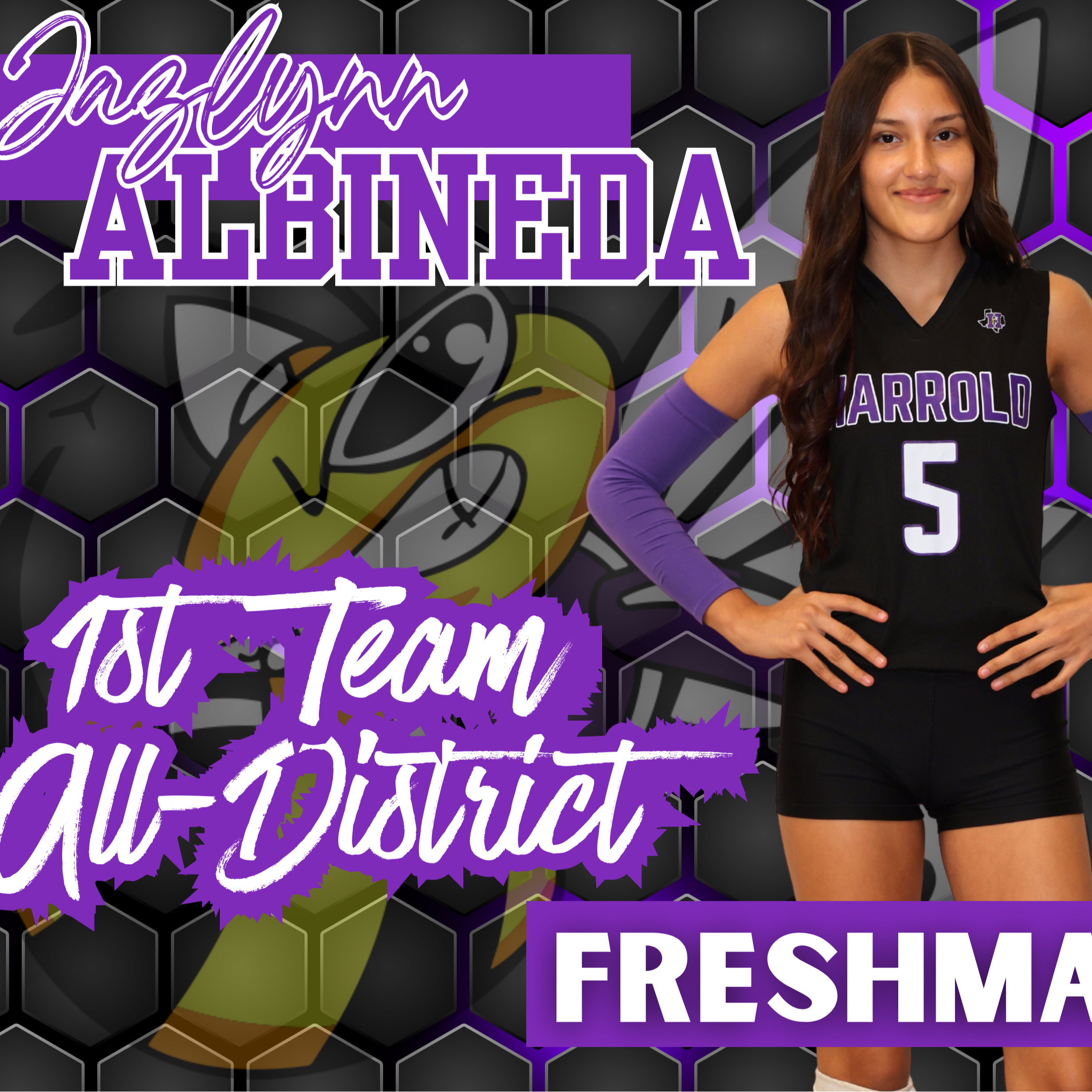 District Volleyball Honors