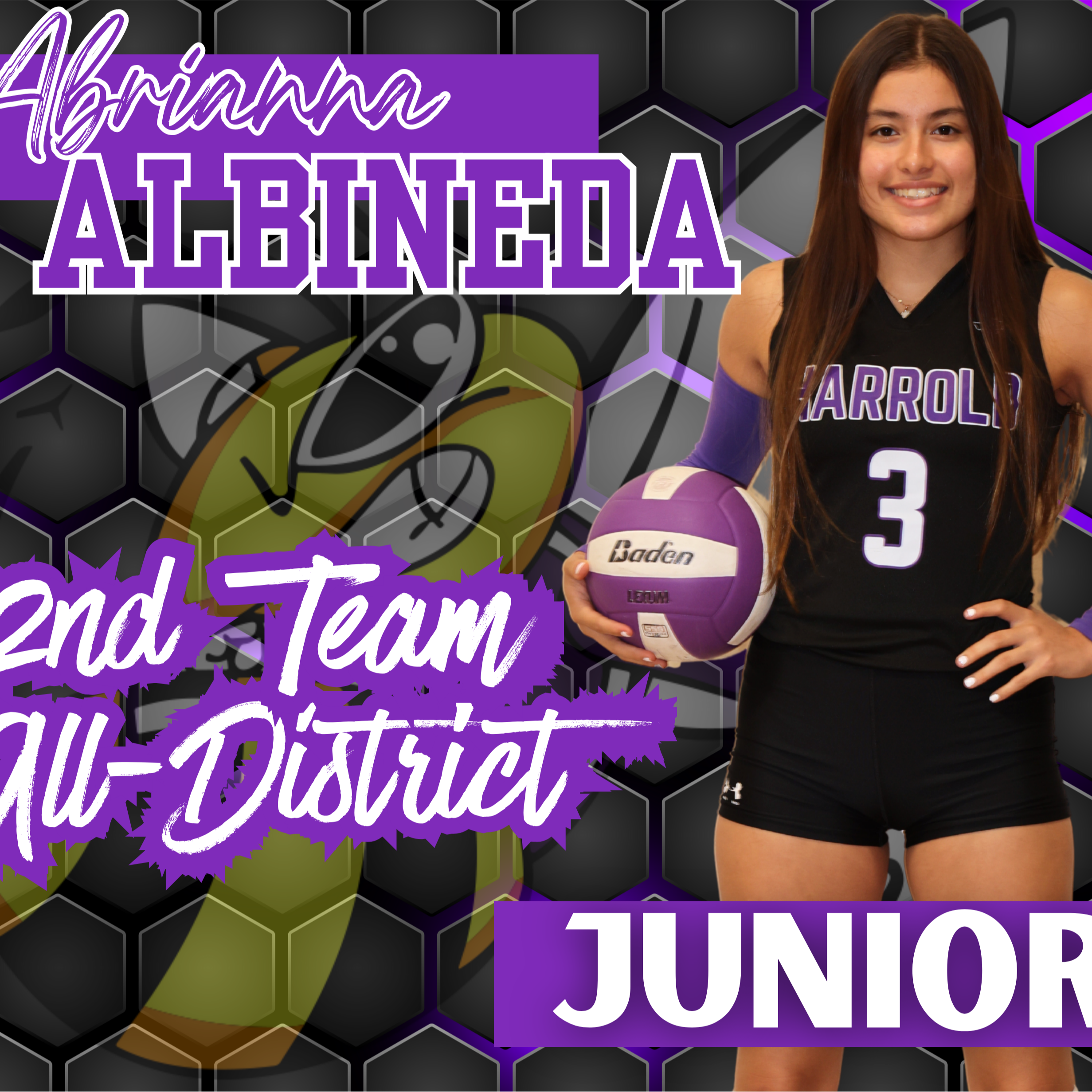 2nd Team All-District Abrianna Albineda