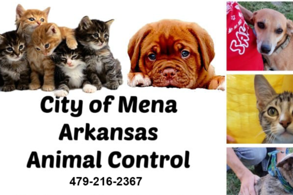 City of Mena Animal Control