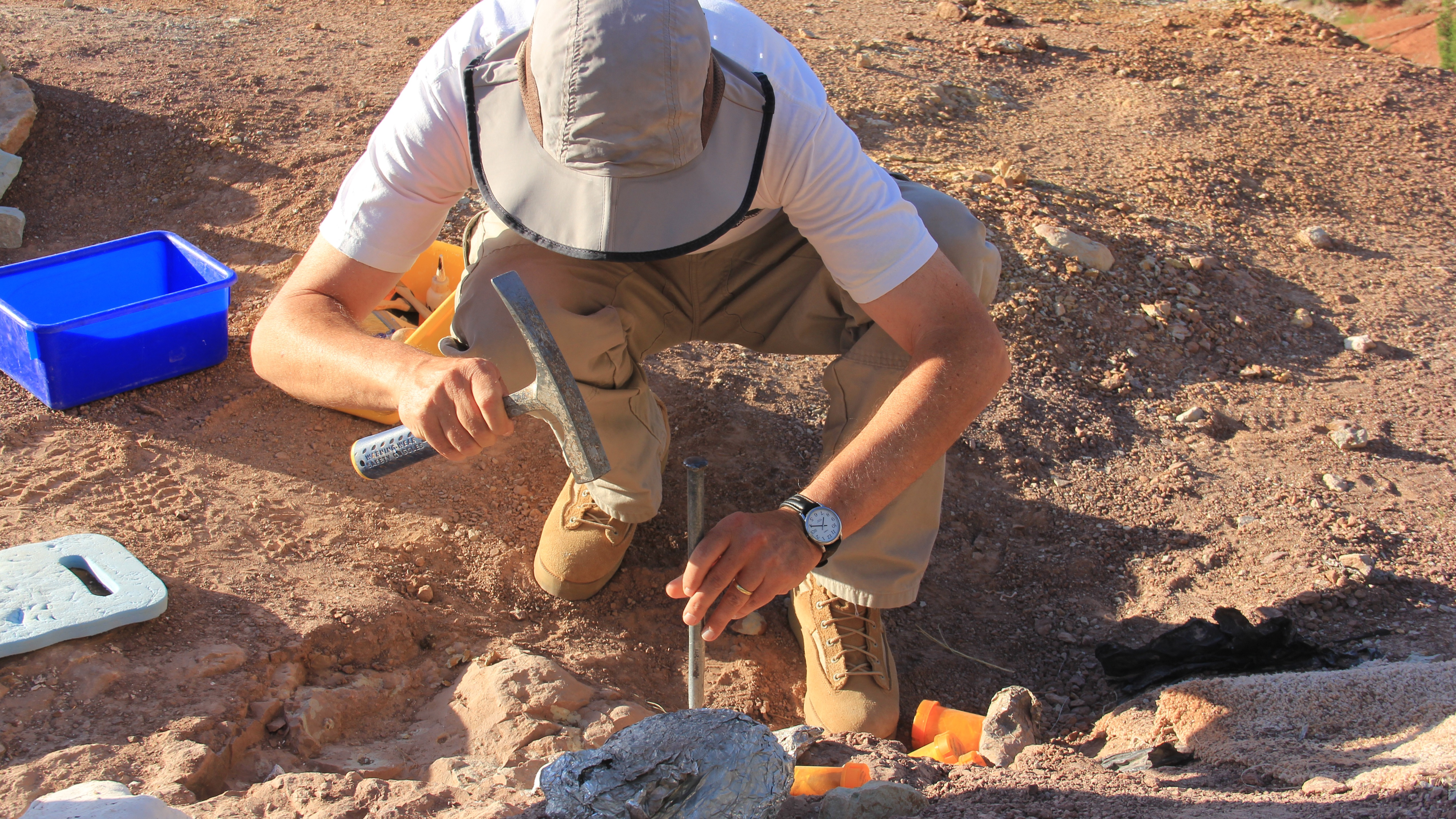 A student in the middle of a dig